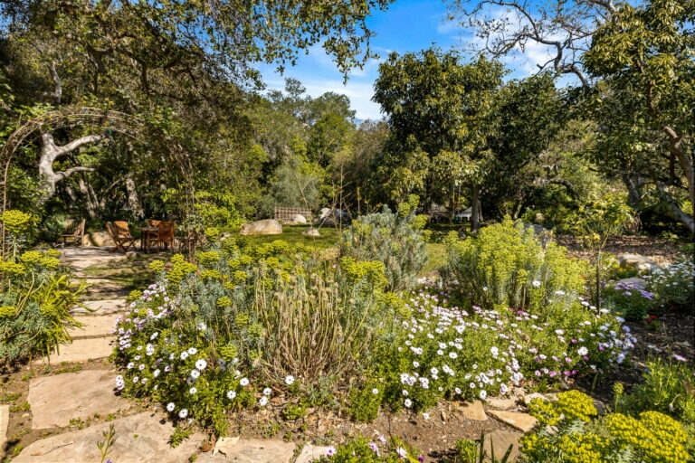 A garden surrounded by trees and flowers.