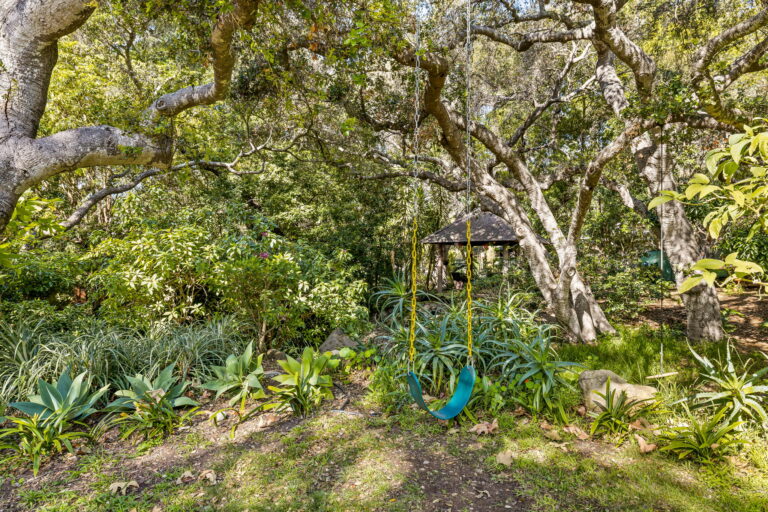 A large backyard with trees and a swing.