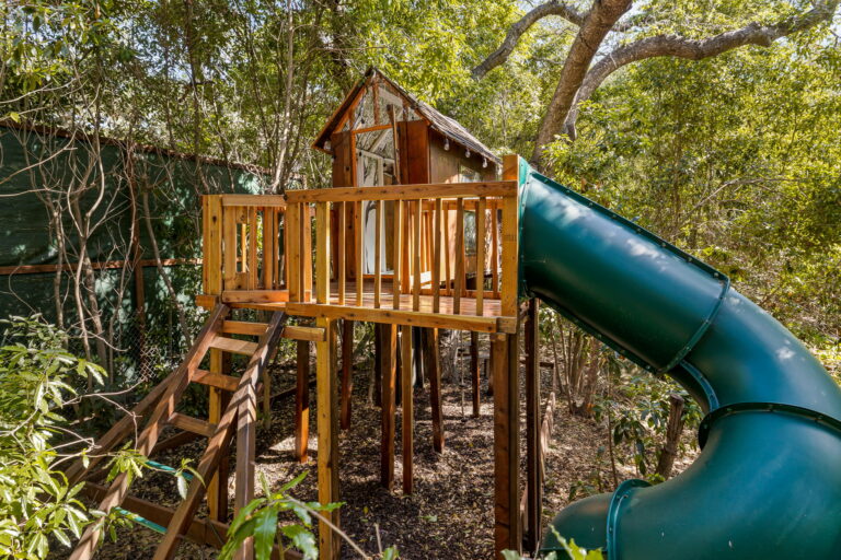 A tree house with a slide in the woods.