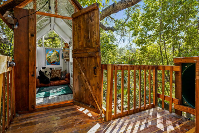 A tree house in the woods with an open door.