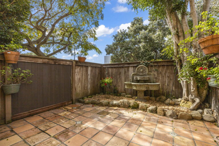 A backyard with a fountain and trees.