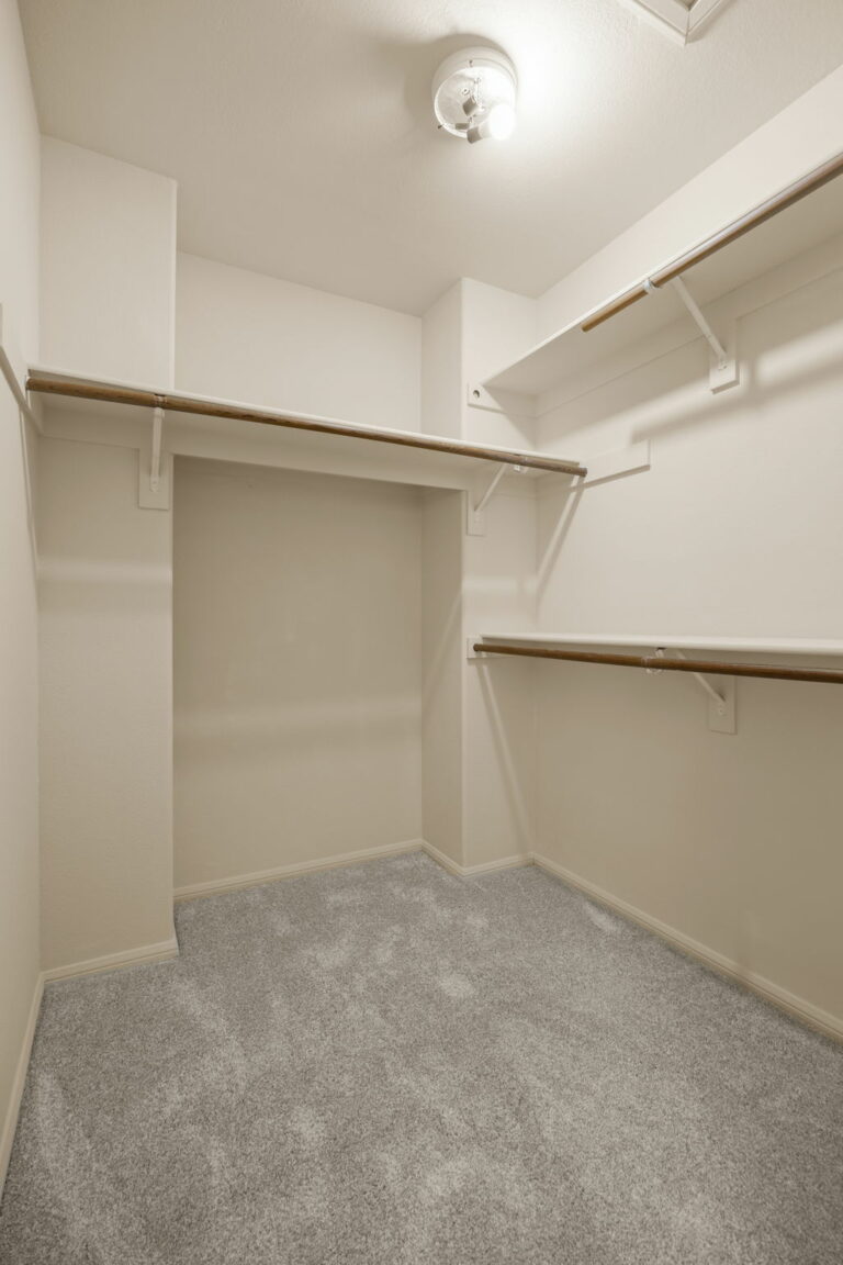 A walk in closet with shelves and a ceiling fan.
