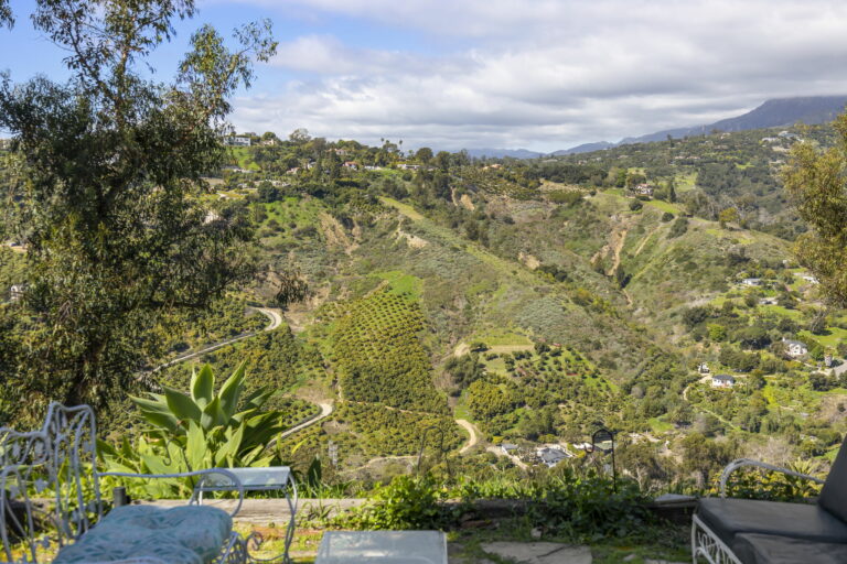 A view of a hillside.