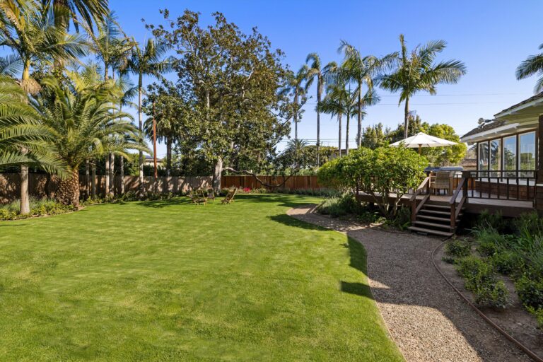 A backyard with palm trees and a lawn.